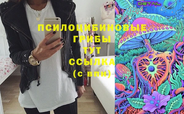 хмурый Абинск