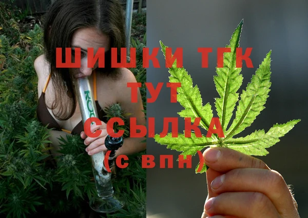 стаф Абаза