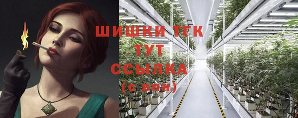 стаф Абаза
