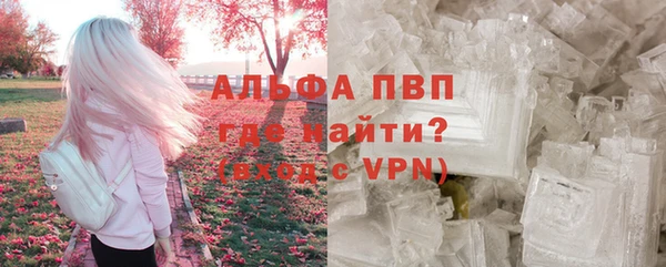 стаф Абаза